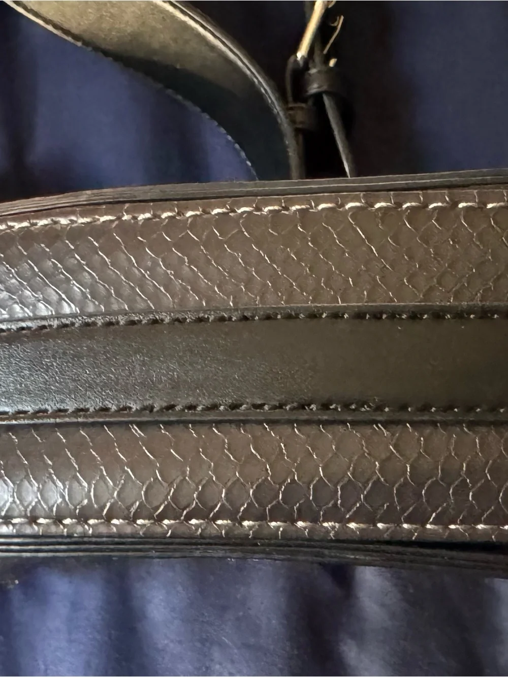 Calvin Klein Brown Snake-Embossed Crossbody Bag with Black Strap